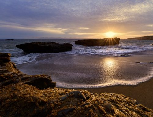 Team Ocean Film – Now Available to Watch